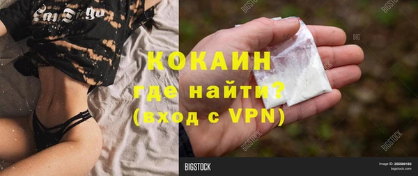 эйфоретик Арсеньев