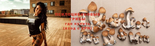 Альфа ПВП Армянск