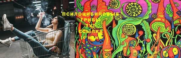 Альфа ПВП Армянск