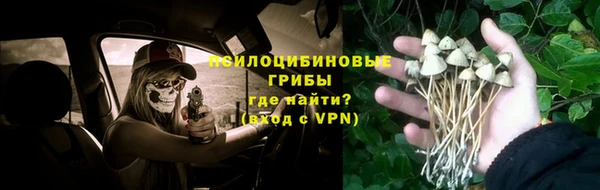 СК Аркадак
