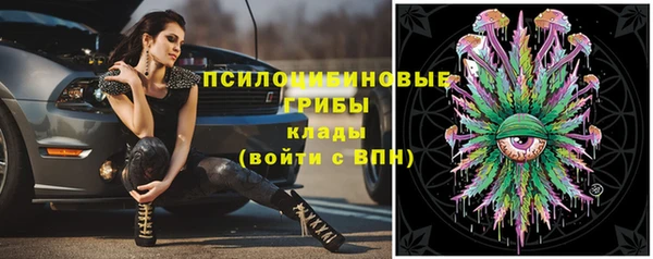 эйфоретик Арсеньев