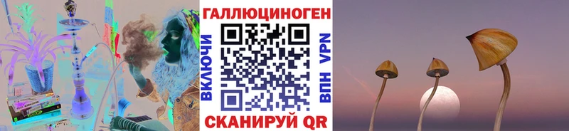 наркота Магас Псилоцибиновые грибы мухоморы