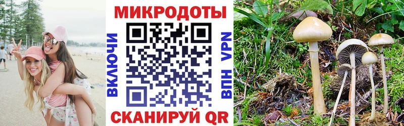 Псилоцибиновые грибы Psilocybine cubensis Магас